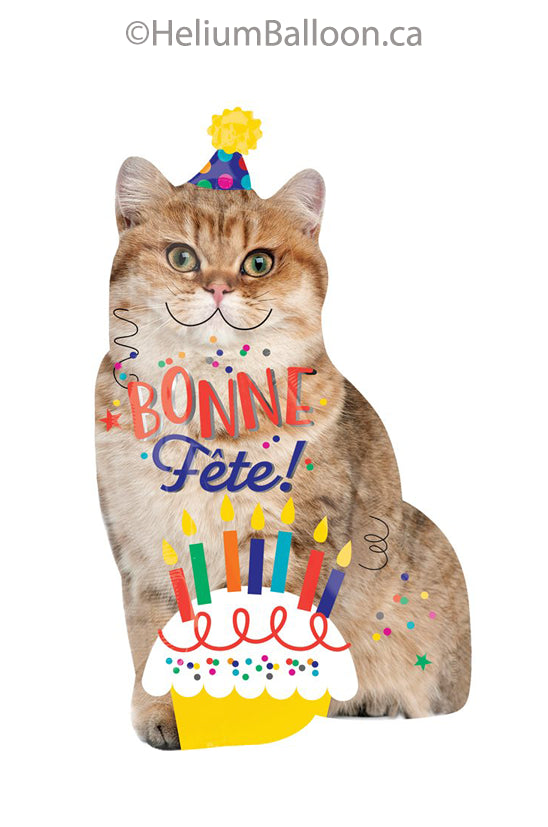 45835_Bonne_Fete_Chat_Ballon_Helium_Inc_Montreal