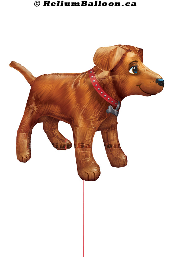 Super_Dog_36_By_24_inches_Helium_Balloon_Bouquets_Delivery_Montreal_Ballon_Chien_36_24_pouces_Livraison_Bouquets_Montreal