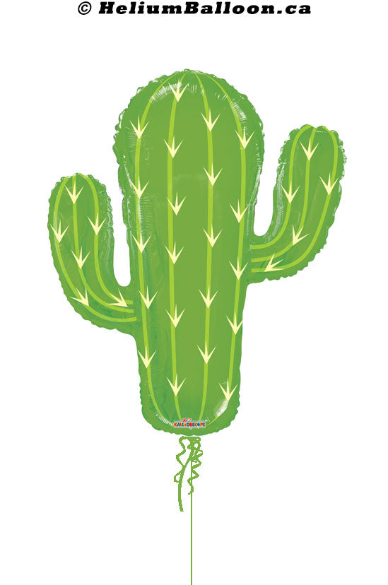 35580-28_Super_Cactus_Shape_helium_balloon_Montreal_delivery-Livraison_bouquets_de_ballons_Helium_Montreal