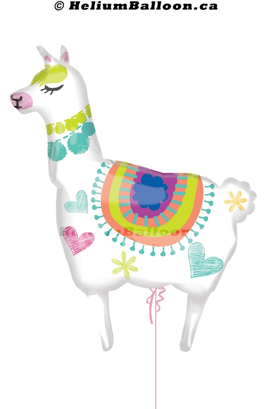 Llama helium balloon Montreal delivery Helium balloons bouquets montreal