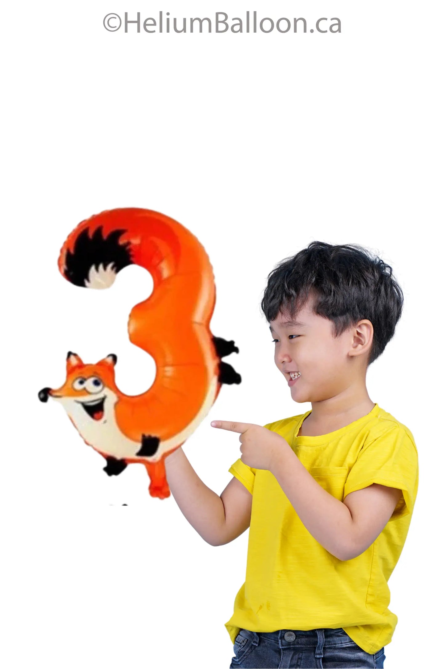 Ballon Chiffre Animal (0 à 6 ans)