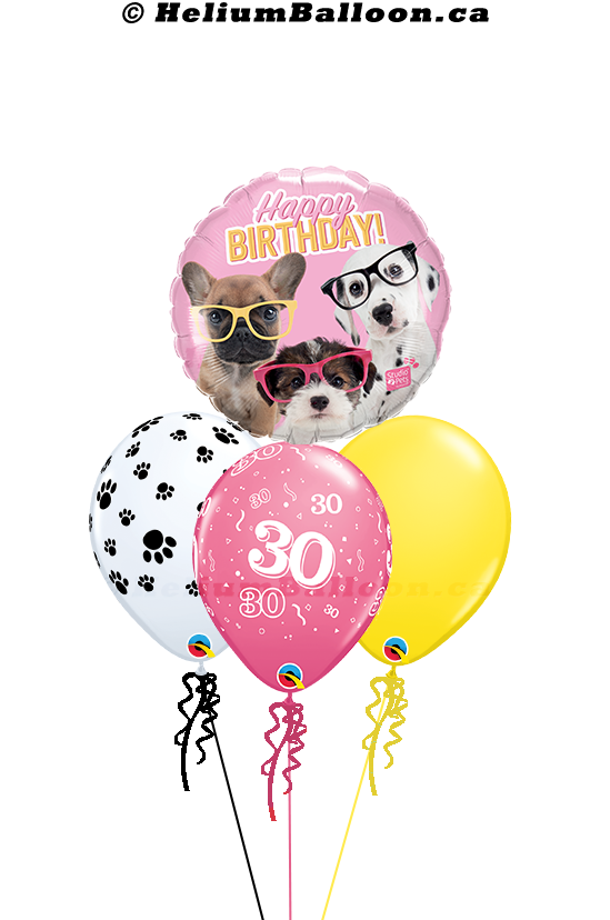 Bouquet Cool Dogs  with Eyeglasses Happy Birthday ( Age 1 to 90 or Happy Birthday or Bonne Fête)