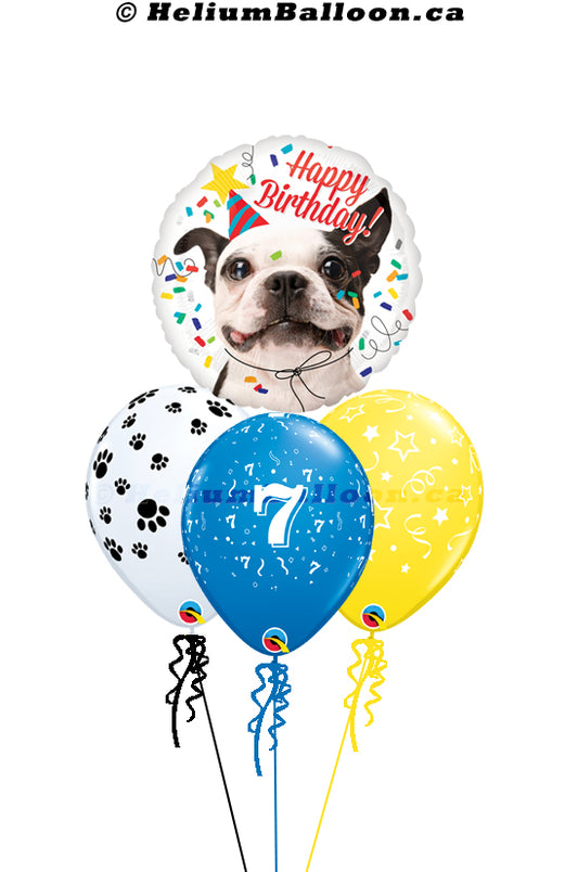 Bouquet Dog Happy Birthday ( Age 1 to 90 or Happy Birthday or Bonne Fête )